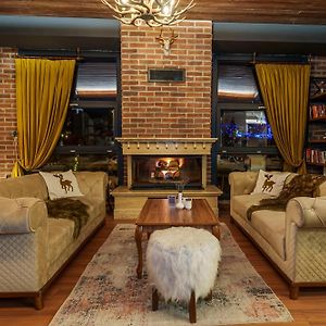 Library Hotel Erciyes